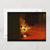 niedlich_lustig_animal_28 kitten cat sneaking peer postkarte (Vorne/Hinten)