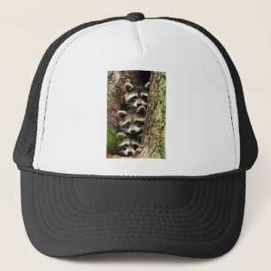 niedlich_lustig_animal_41 Drei Raccons Baumstamm Truckerkappe