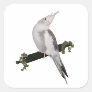 Niedlich Lutino Cockatiel Bird Ivy Perltier Quadratischer Aufkleber