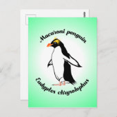 Niedlich Macaroni Penguin Postkarte (Vorne/Hinten)