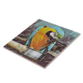 NIEDLICH MACAW FLIESE (Seite)
