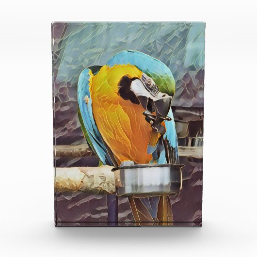 NIEDLICH MACAW FOTOBLOCK (Vorderseite)
