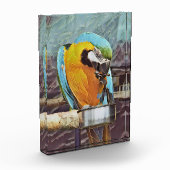NIEDLICH MACAW FOTOBLOCK (Links)