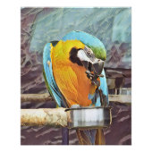NIEDLICH MACAW FOTODRUCK (Vorne)