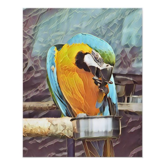 NIEDLICH MACAW FOTODRUCK (Vorne)