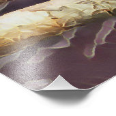 NIEDLICH MACAW FOTODRUCK (Ecke)