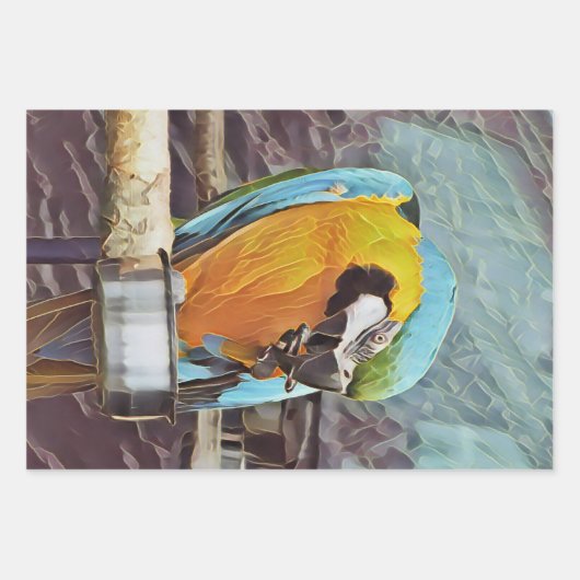 NIEDLICH MACAW GESCHENKPAPIER SET (Vorderseite 2)
