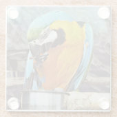 NIEDLICH MACAW GLASUNTERSETZER (Rückseite)