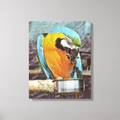 NIEDLICH MACAW LEINWANDDRUCK (Vorderseite)