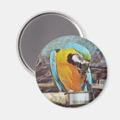 NIEDLICH MACAW MAGNET (Vorderseite/Rückseite)