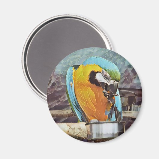 NIEDLICH MACAW MAGNET (Vorderseite/Rückseite)