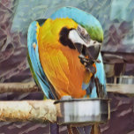 NIEDLICH MACAW MAGNET<br><div class="desc">Ein Kunstdesign eines niedlichen Ara.</div>