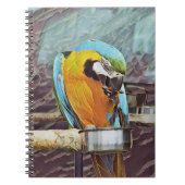 NIEDLICH MACAW NOTIZBLOCK (Vorderseite)