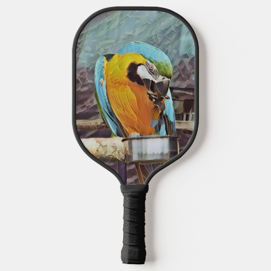 NIEDLICH MACAW PICKLEBALL SCHLÄGER (Rückseite)