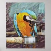 NIEDLICH MACAW POSTER (Vorne)