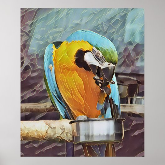NIEDLICH MACAW POSTER (Vorne)
