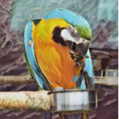 NIEDLICH MACAW POSTER