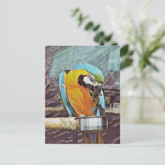 NIEDLICH MACAW POSTKARTE (Stehend Vorderseite)