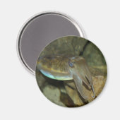 Niedlich Magnet (Vorderseite/Rückseite)