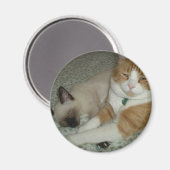 Niedlich Magnet (Vorderseite/Rückseite)