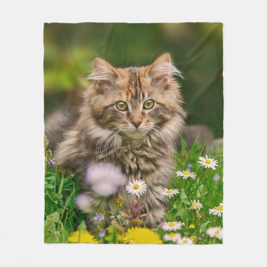 Niedlich Maine Coon Kitten Cat in Blume Wiese - ge Fleecedecke (Vorderseite)