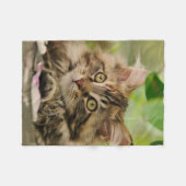 Niedlich Maine Coon Kitten Fleecedecke (Vorderseite (Horizontal))