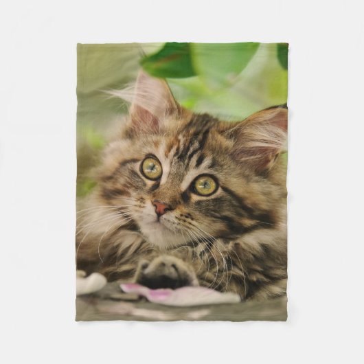 Niedlich Maine Coon Kitten Fleecedecke (Vorderseite)
