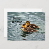Niedlich Mallard Ducklings Foto Geburtstag Postkarte (Vorne/Hinten)