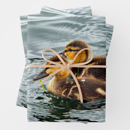 Niedlich Mallard Ducklings Foto Geschenkpapier Set (Beispiel)