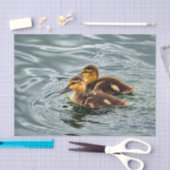 Niedlich Mallard Ducklings Foto Seidenpapier (Handwerk)