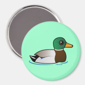 Niedlich Mallard Male Magnet (Vorderseite/Rückseite)