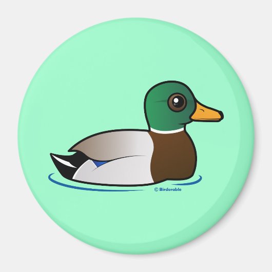 Niedlich Mallard Male Magnet (Vorne)