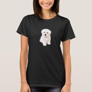 Niedlich Maltesisch, Bichon, Bolonka, Bolognese, p T-Shirt