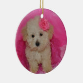 Niedlich Maltipoo Puppy Keramik Ornament (Rechts)