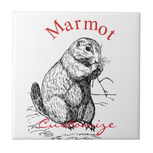 Niedlich Marmot Animal Thunder_Cove Fliese
