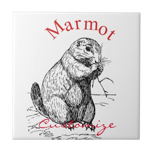 Niedlich Marmot Animal Thunder_Cove Fliese (Vorderseite)