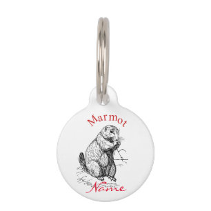 Niedlich Marmot Animal Thunder_Cove Haustiermarke