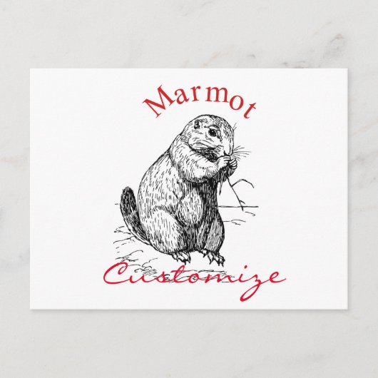 Niedlich Marmot Animal Thunder_Cove Postkarte (Vorderseite)