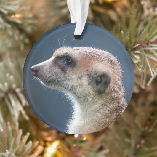 Niedlich Meerkat Circular Christmas Ornament (Baum)