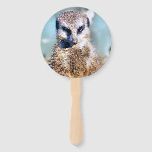 NIEDLICH MEERKAT FÄCHER