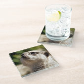 NIEDLICH MEERKAT GLASUNTERSETZER (Schrägansicht)