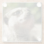 NIEDLICH MEERKAT GLASUNTERSETZER (Rückseite)