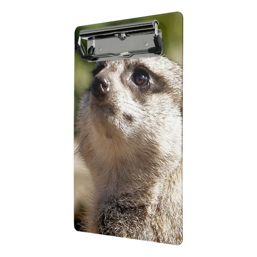 NIEDLICH MEERKAT MINI KLEMMBRETT (Gewinkelt2)