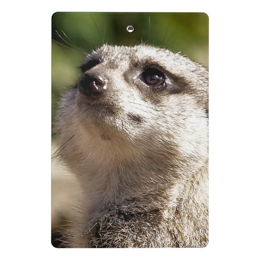 NIEDLICH MEERKAT MINI KLEMMBRETT (Rückseite)