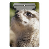 NIEDLICH MEERKAT MINI KLEMMBRETT (Vorderseite)