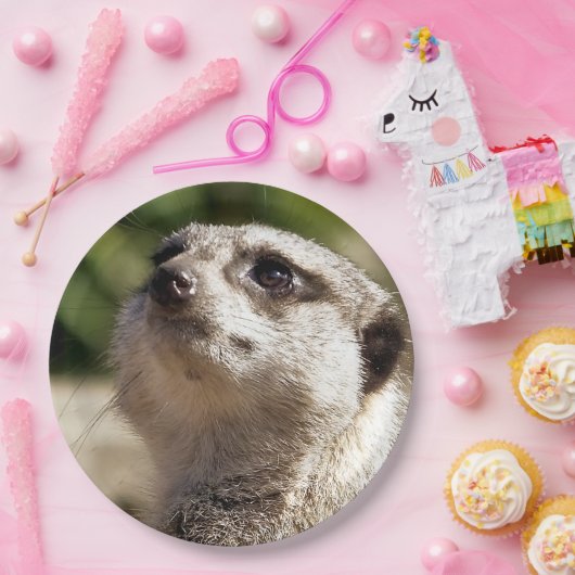 NIEDLICH MEERKAT PAPPTELLER (Party)