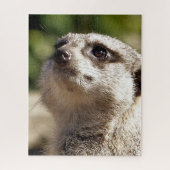 NIEDLICH MEERKAT PUZZLE (Vertikal)