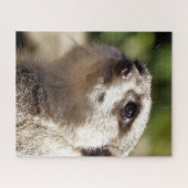 NIEDLICH MEERKAT PUZZLE (Horizontal)