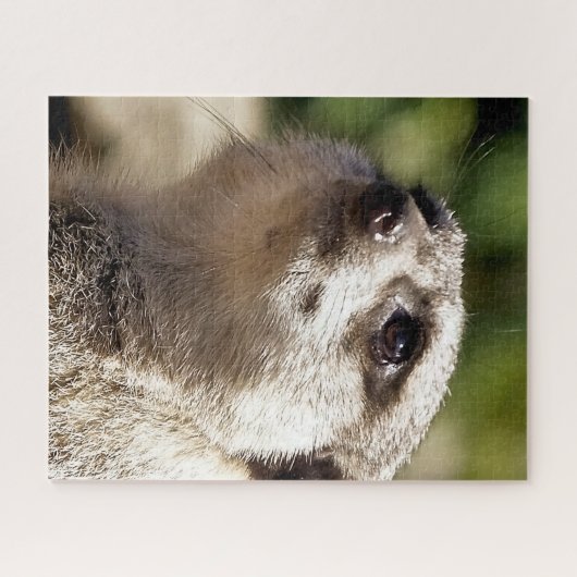 NIEDLICH MEERKAT PUZZLE (Horizontal)