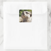 NIEDLICH MEERKAT QUADRATISCHER AUFKLEBER (Tasche)
